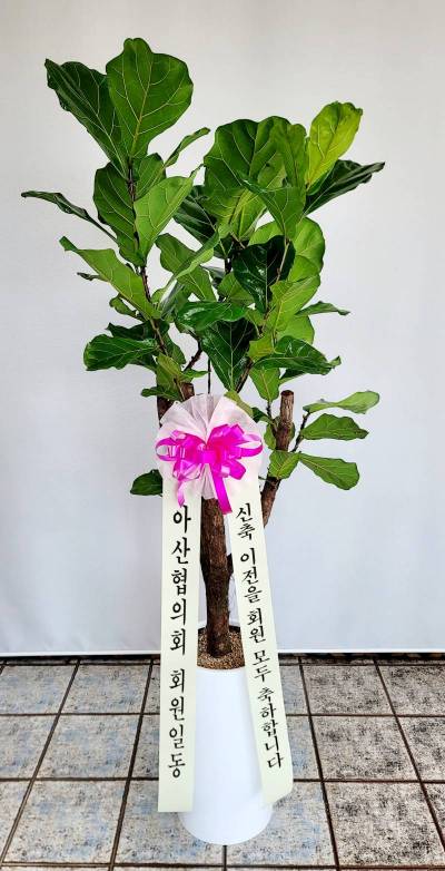 배송사진