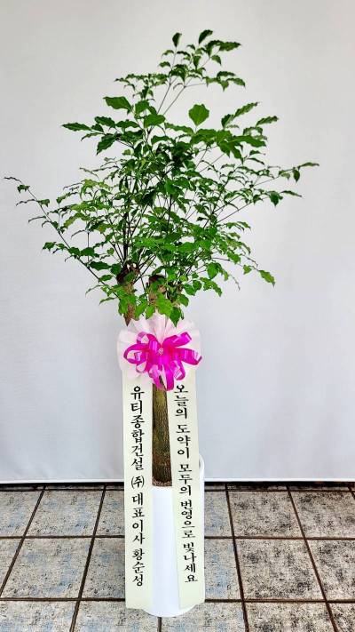 배송사진