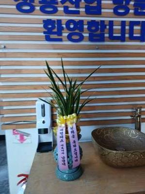 배송사진