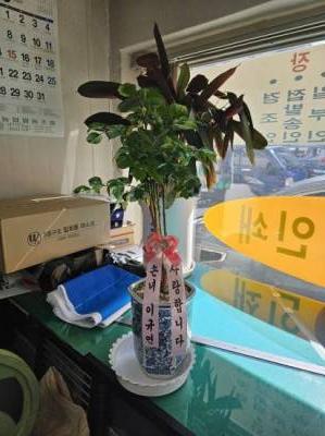 배송사진