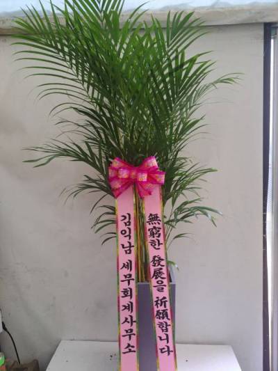 배송사진
