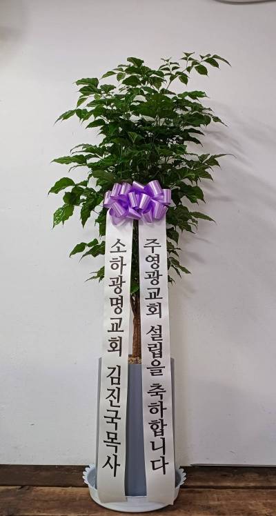 배송사진