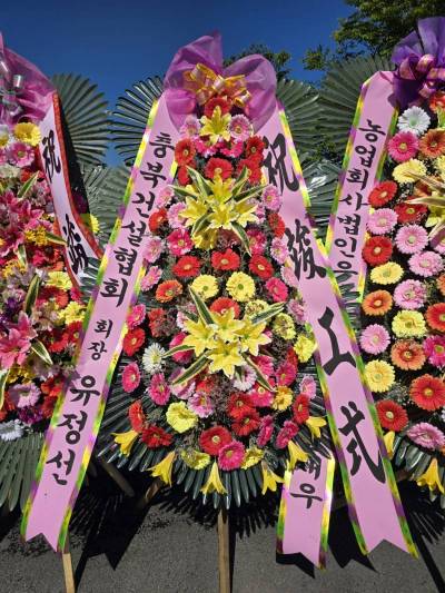 배송사진