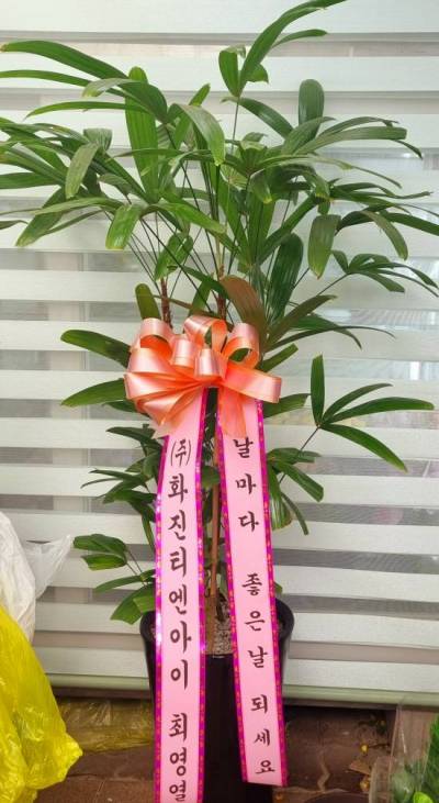 배송사진