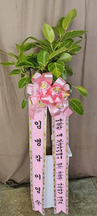 배송사진