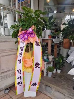 배송사진