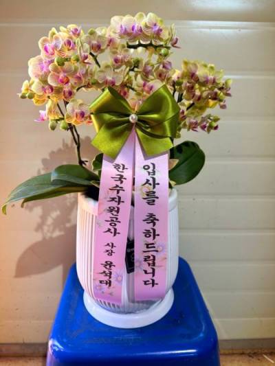 배송사진