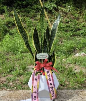 배송사진
