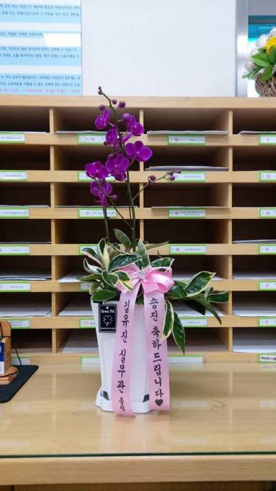 배송사진
