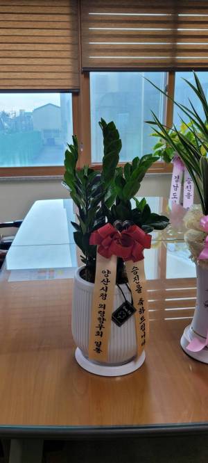 배송사진