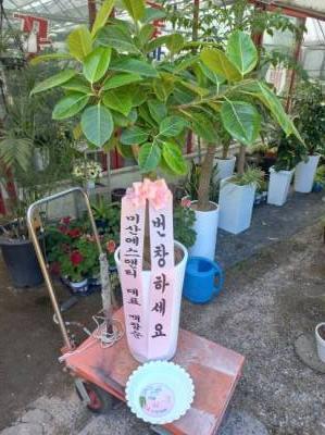 배송사진