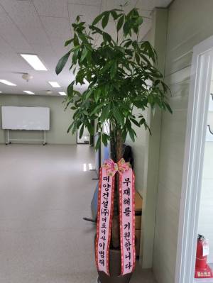 배송사진