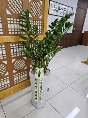 배송사진