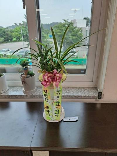 배송사진