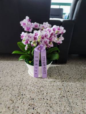 배송사진