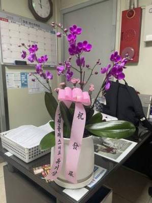 배송사진