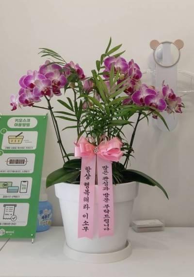 배송사진