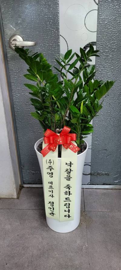 배송사진