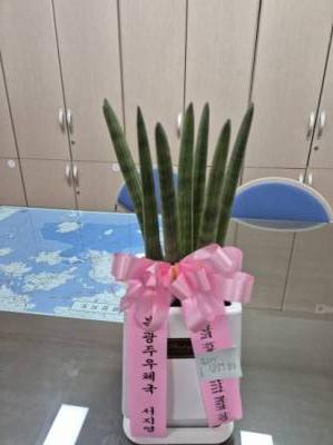 배송사진