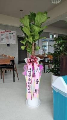 배송사진