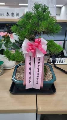 배송사진