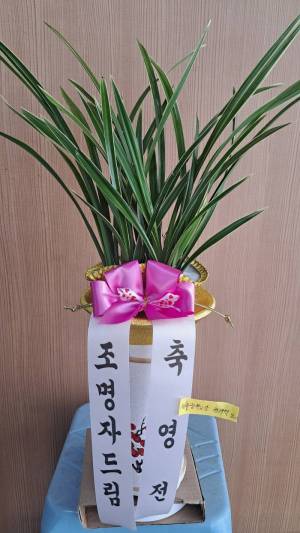 배송사진