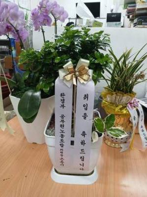 배송사진