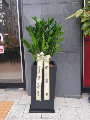배송사진