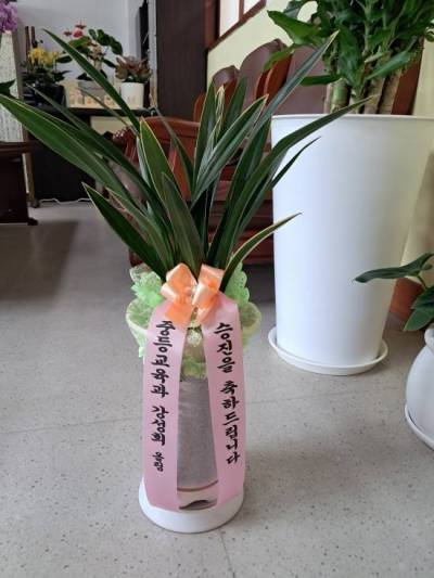 배송사진
