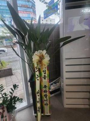 배송사진