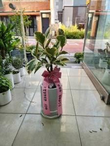 배송사진