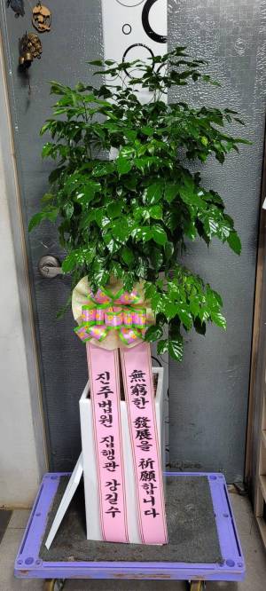 배송사진