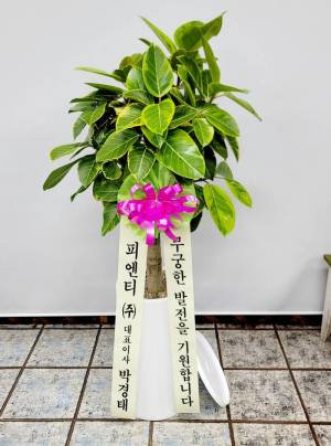 배송사진