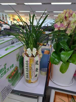 배송사진