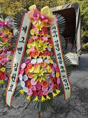배송사진