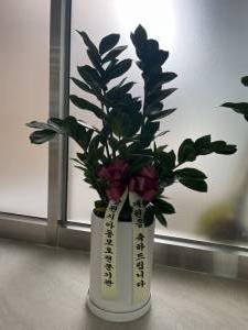배송사진