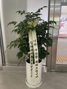 배송사진