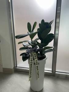 배송사진