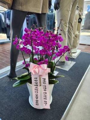 배송사진