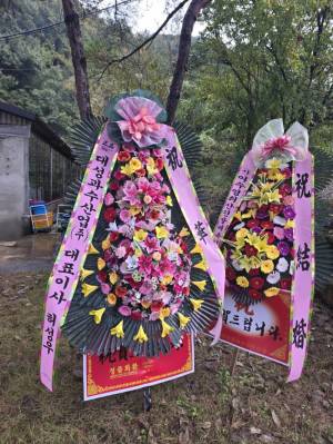 배송사진