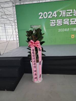 배송사진