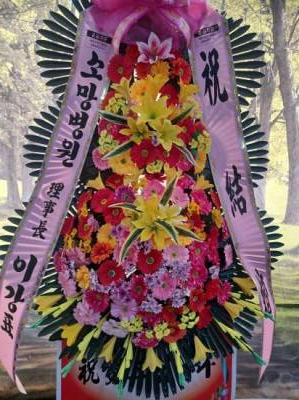 배송사진