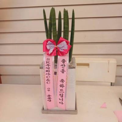 배송사진