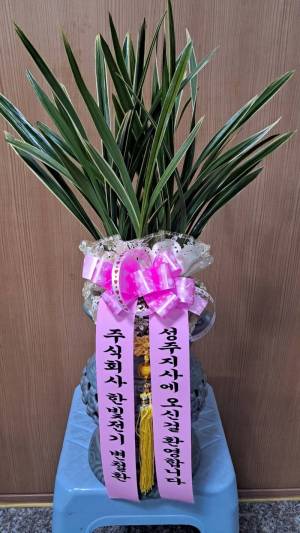 배송사진