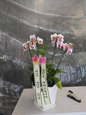 배송사진