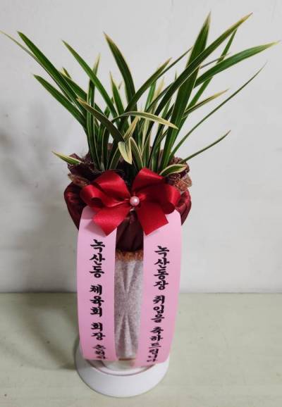 배송사진