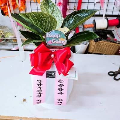 배송사진