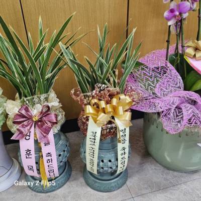 배송사진