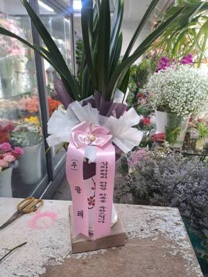 배송사진