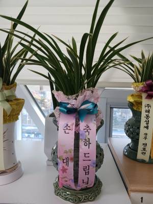 배송사진